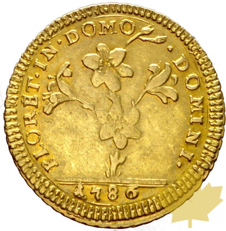 VATICAN-1786-DOPPIA ROMANA-PIE VI-pr SUP - 12-agosto-2013-21.JPG
