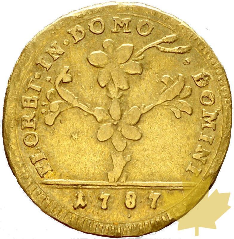 VATICAN-1787-DOPPIA ROMANA-PIE VI-TB - 12-agosto-2013-23.JPG