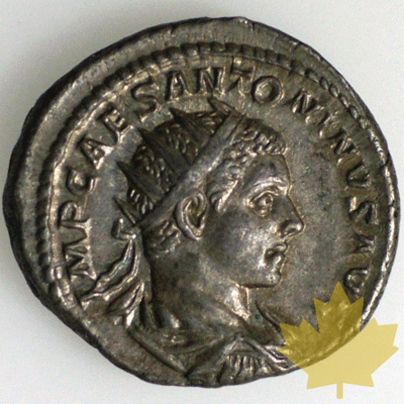 Rome-218-222-Elagaballe - 1259932989.gif
