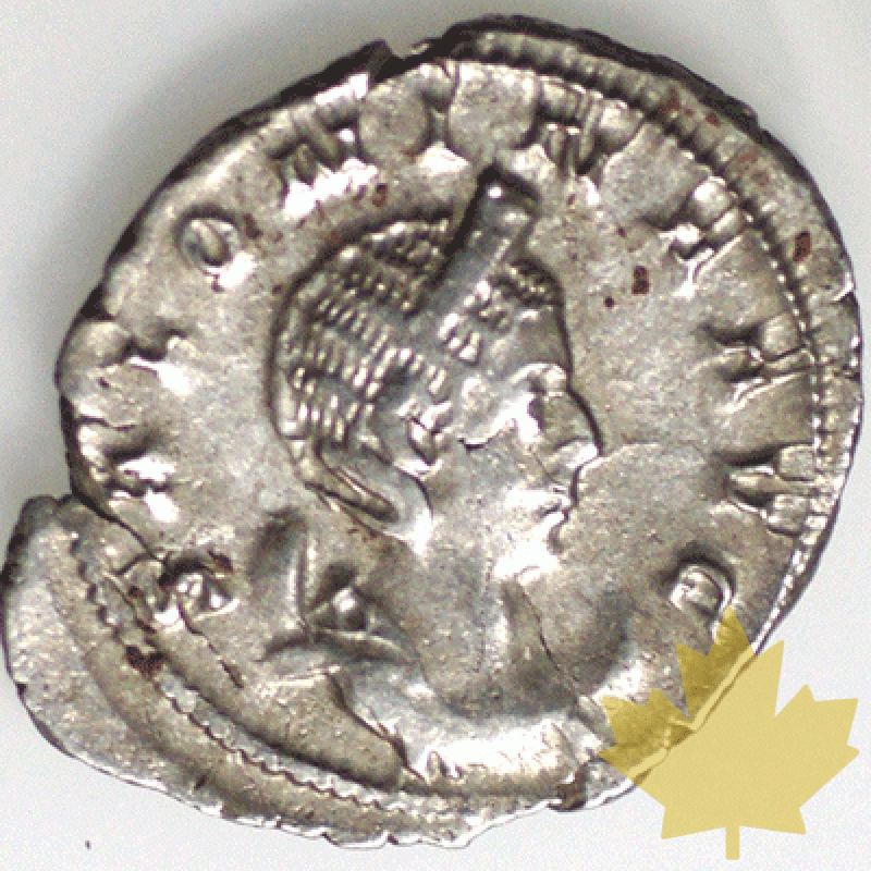 Rome-268-Salonine - 1260456648.gif
