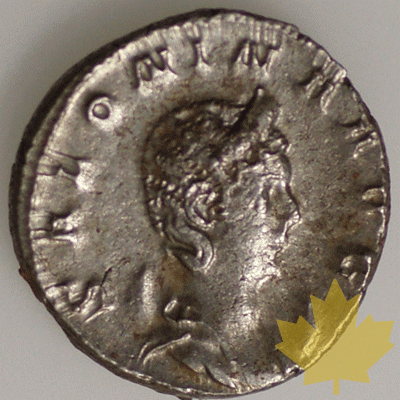 Rome-268-Salonine - 1260524466.gif