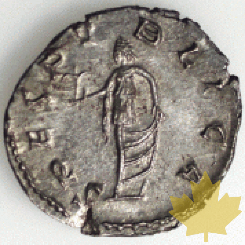 Rome-259-Salonin - 1260885048(1).gif