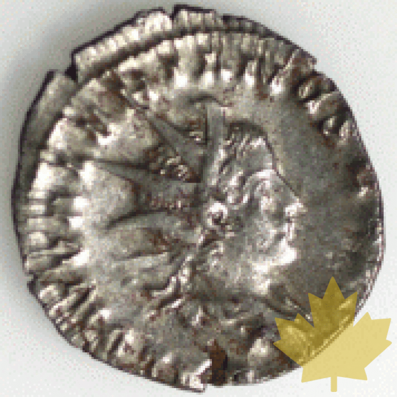 Rome-259-Salonin - 1260885048.gif