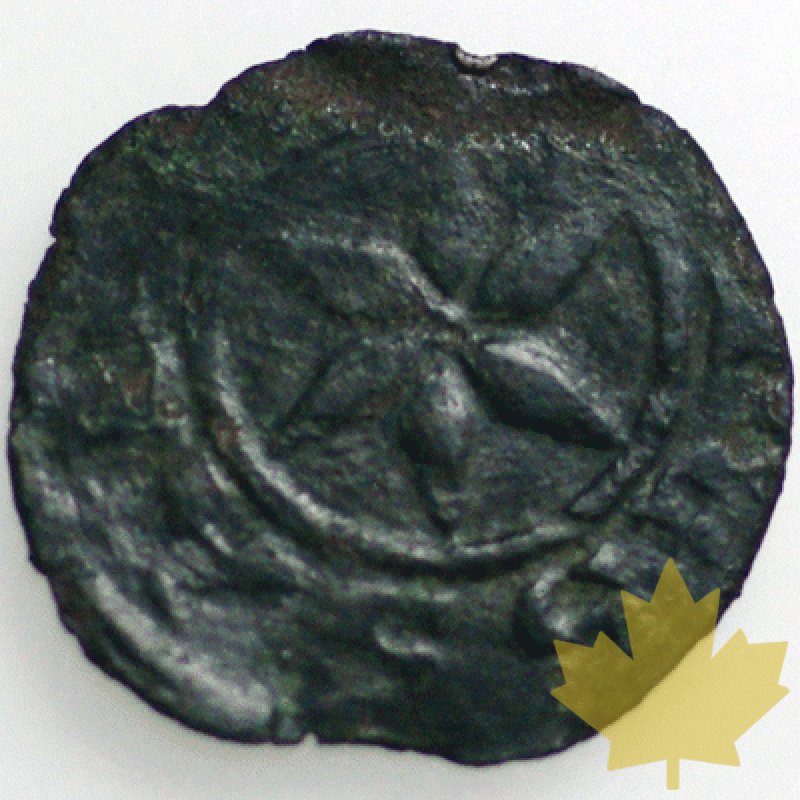 SAVOIE-1285-1323-AMEDEO V, Petit Denier du Piémont-TB - 1262617584(1).gif