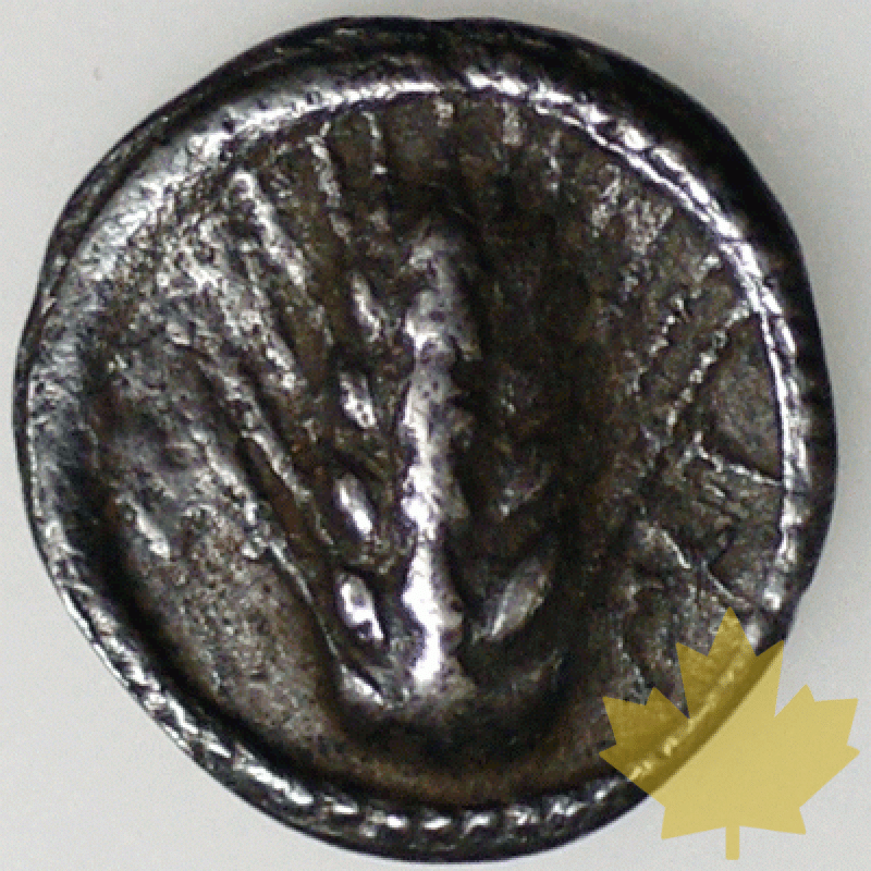GRECE-Magna-Grèce-Lucanie-VIe-Ve siècle av. J.C. - 1263639242.gif