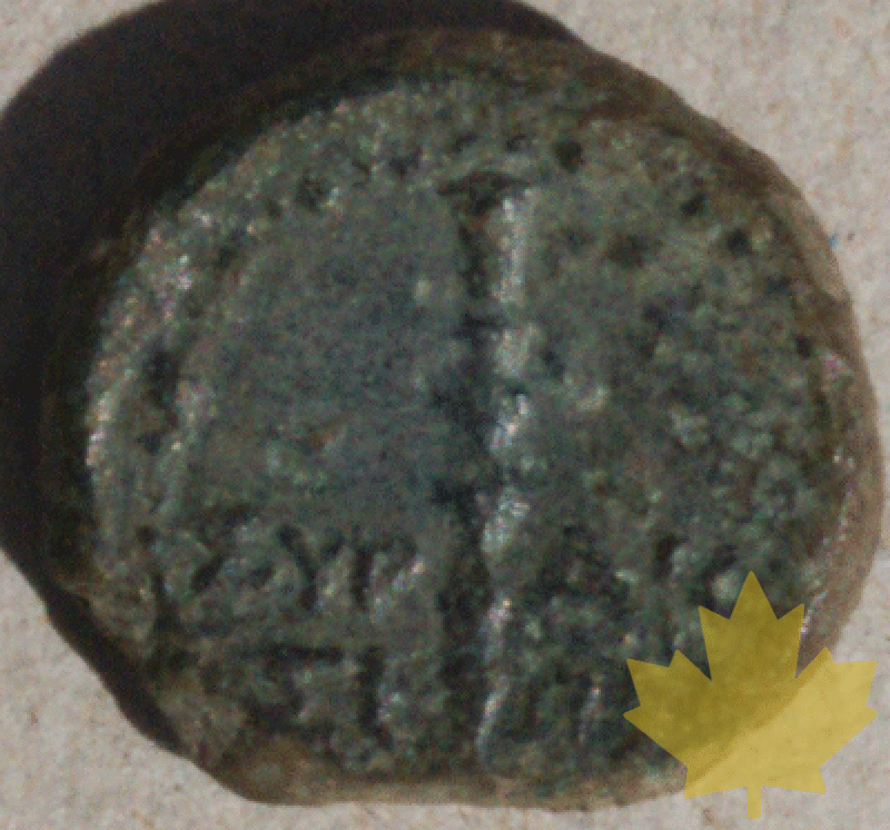 GRECE-Magna-Grèce-Sicile-Syracuse- - 1271076323(1).gif