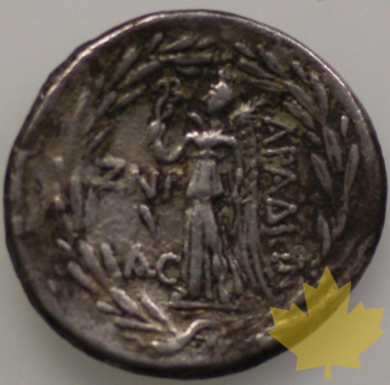 GRECE-Est-Phenicie-Tetradrachme-109-108 av JC- - 1329236225-DSC05279.JPG