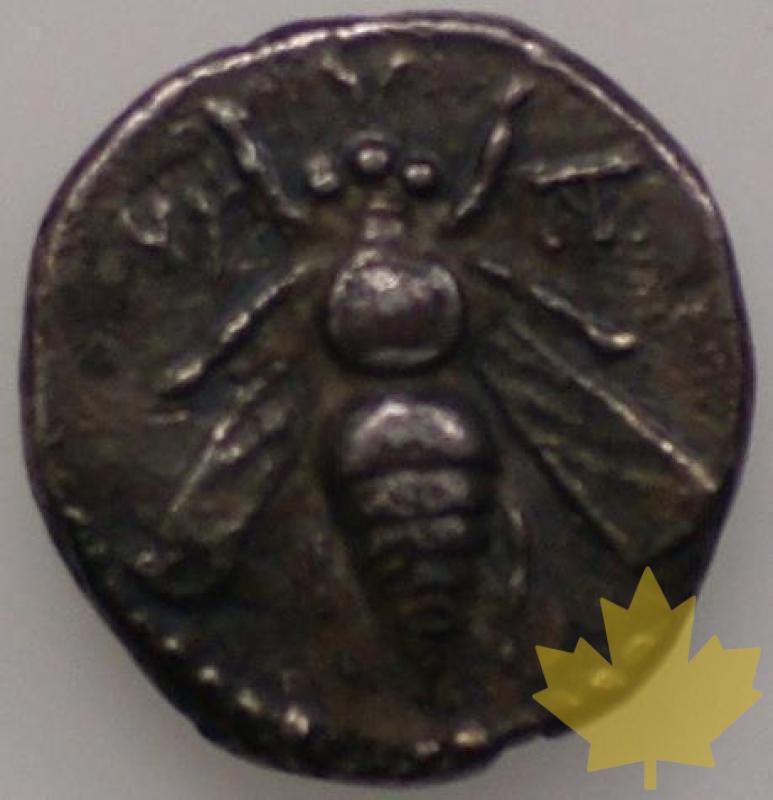 GRECE-Est-Phenicie-Drachme-162-161 av JC- - 1329236522-DSC05280.JPG
