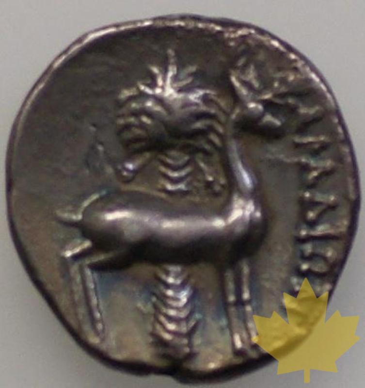 GRECE-Est-Phenicie-Drachme-162-161 av JC- - 1329236522-DSC05281.JPG