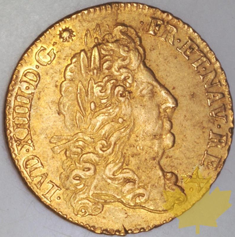 FRANCE-1691 O rf- Double Louis or  G. 259 TTB-Louis XIV - 1332413934-259A_1691O_TTB_4950.jpg