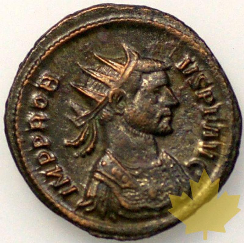 Rome-276-282-Probus-Antoninien-TTB - 18-fevrier-2013-43.jpg
