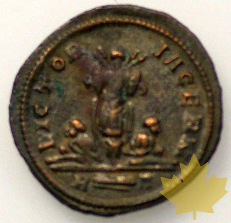 Rome-276-282-Probus-Antoninien-TTB - 18-fevrier-2013-44.jpg