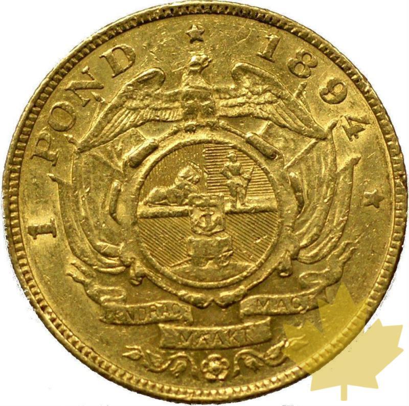 AFRIQUE DU SUD-1894-1 POND-TTB - 19-aprile-2013--28.jpg