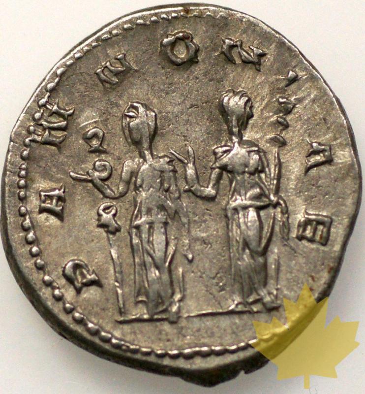 Rome-249-251-Trajan Dece-Antoninien-TTB-SUP - 2-20-fevrier-2013-24.jpg