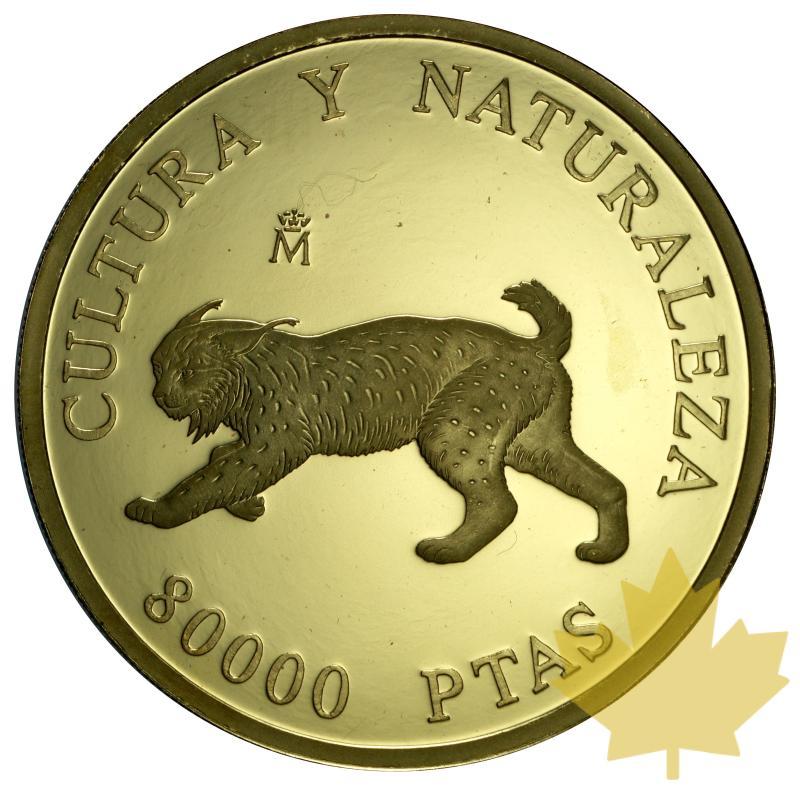 ESPAGNE-1994-80.000 PESETAS-PROOF - 20150730084926_spain-1994-80000pesetas-2.JPG