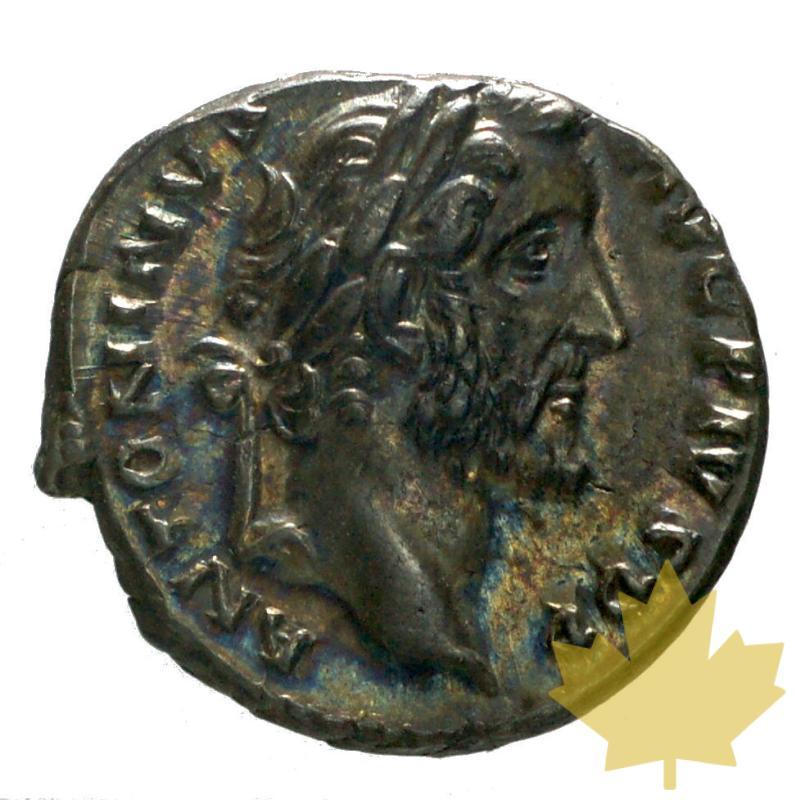 ROME-DENARIUS-146-ANTONINUS PIUS-TTB - 20150731150016_antoninus-pius-ric136-1.JPG