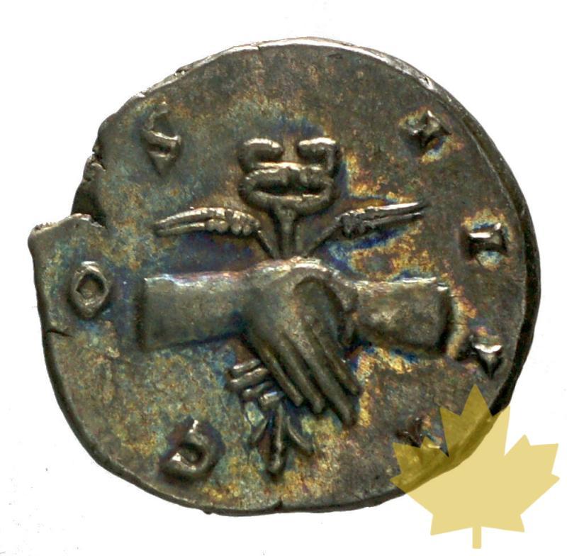ROME-DENARIUS-146-ANTONINUS PIUS-TTB - 20150731150016_antoninus-pius-ric136-2.JPG