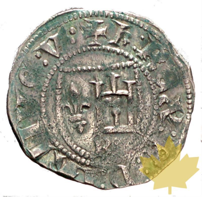 ITAILIE-GENES-DOGI A VITA-CHARLES V-PETACHINA-TTB-SUP - 20160113141132_dogi-a-vita-petachina-2.JPG