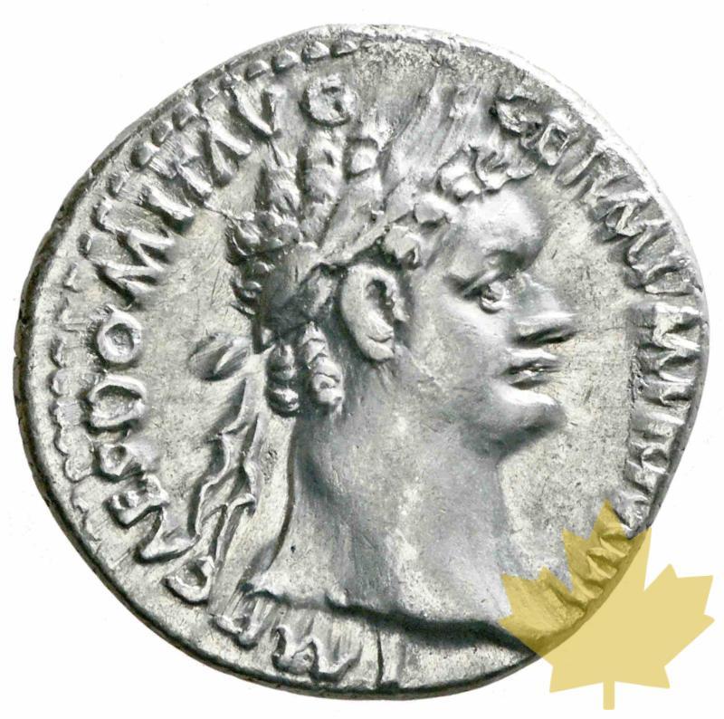 ROME-Denarius-Domitianus-81-96-SUP - 20170103173711_lot0692.jpeg