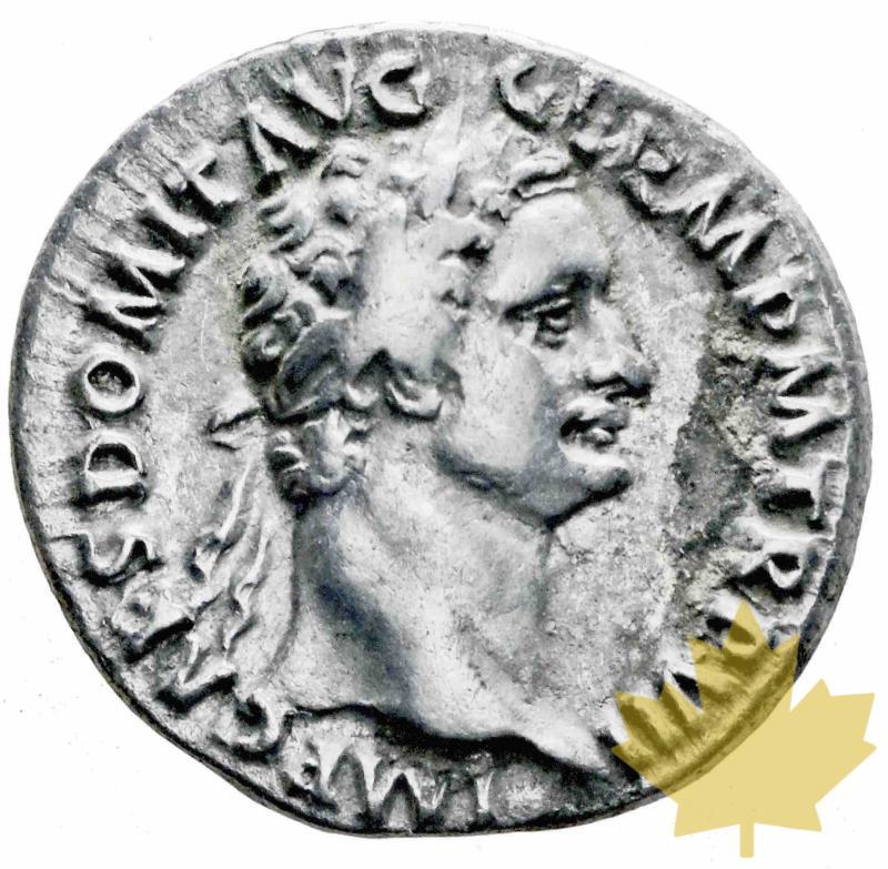ROME-88-Denarius-Domitianus-TTB-SUP - 20170106160807_lot053.jpg