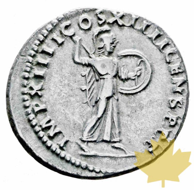 ROME-88-Denarius-Domitianus-TTB-SUP - 20170106160807_lot0532.jpg