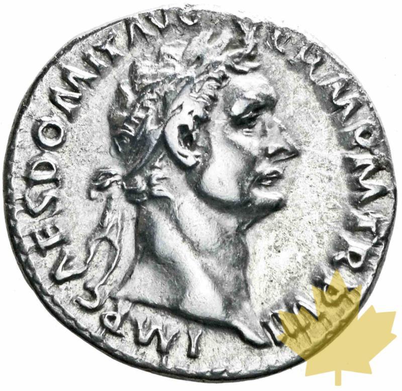 ROME-88-Denarius-Domitianus-TTB-SUP - 20170109112841_lot056.jpeg