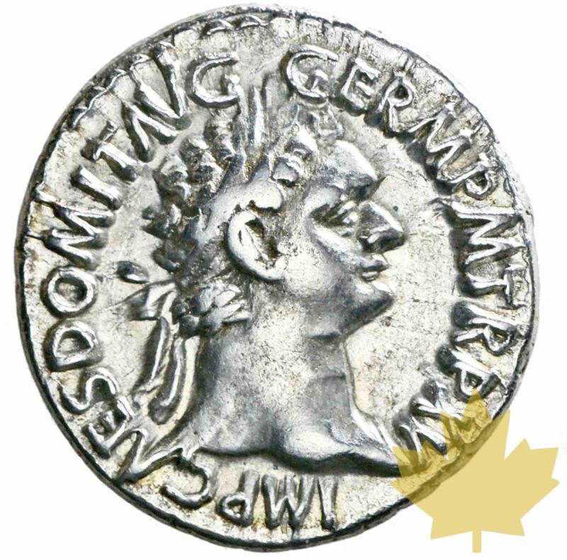ROME-81-96-Denarius-Domitianus-SUP - 20170116155800_lot0782.jpeg