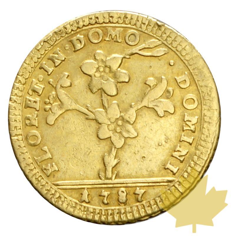 VATICAN-1787-DOPPIA -PIE VI-presque TTB - 20180412125112_2-vaticano-doppia-1787-2.JPG