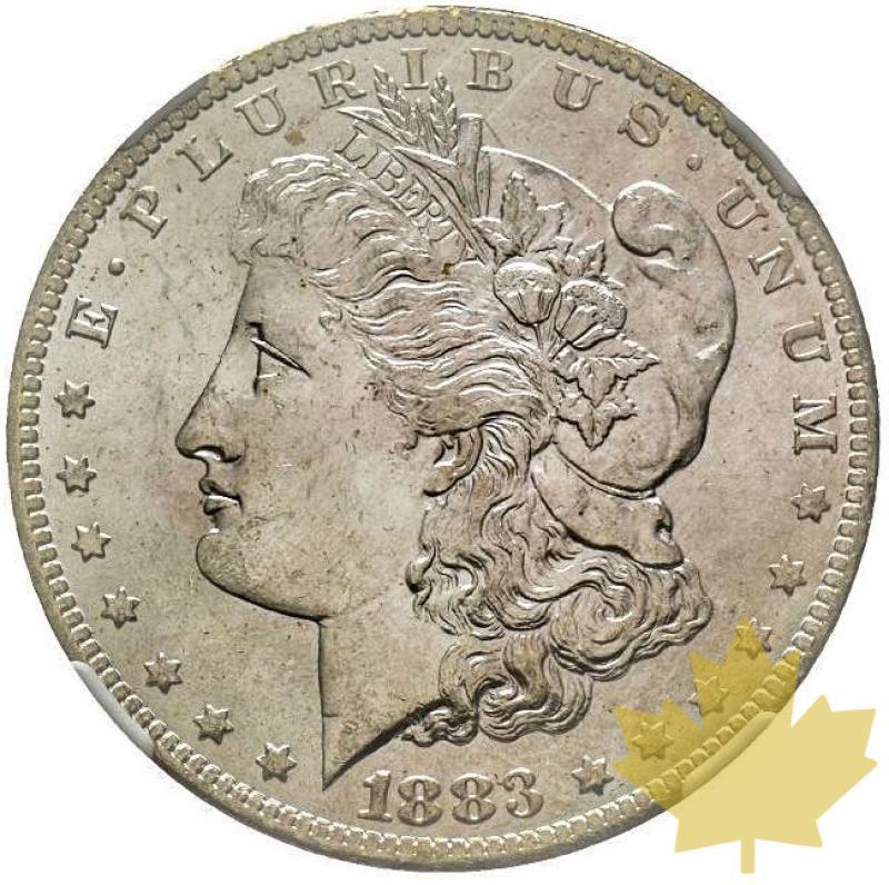 USA-1883 O-1 DOLLAR MORGAN-NGC MS63 - 20201130160502_1DOLLARMORGANcopia.jpg