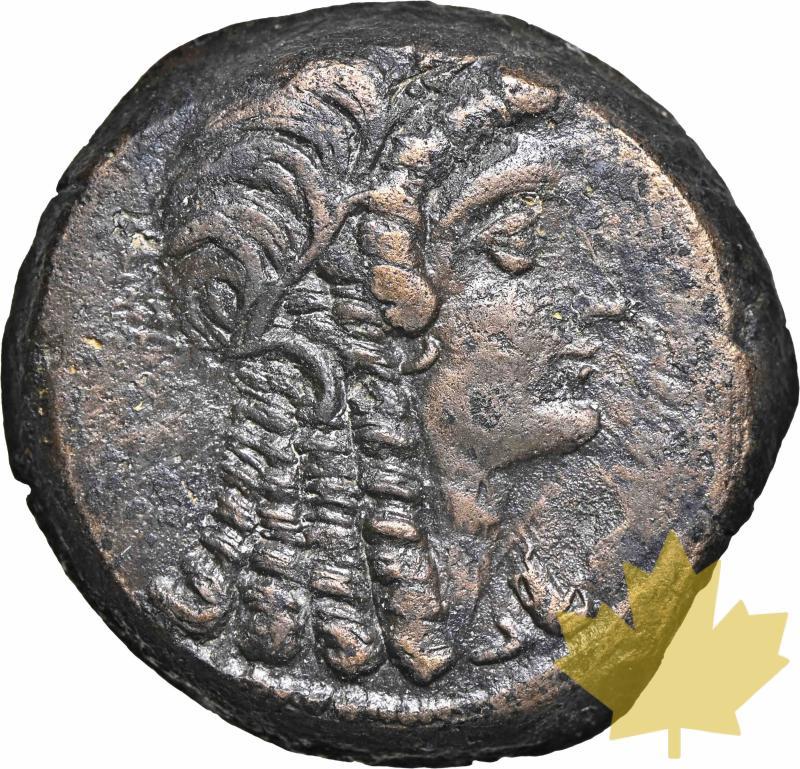 Ptolemaic, Ptolemy V, 205-180 BC- NGC Ch XF - 20220323141953_PTOLEMYVBRONZE_1.jpg