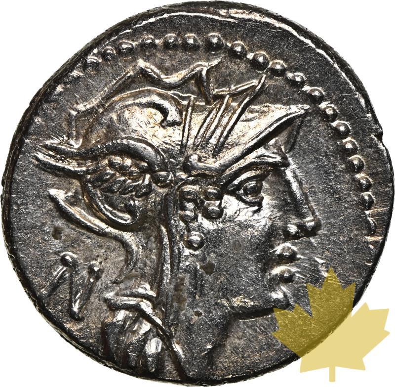 Rome-République-Denarius-Silanus L -NGC MS - 20220323150751_denariussilanusroma-1.jpg