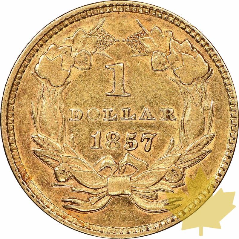USA-1857-1 DOLLAR-Indian Princess-NGC AU DETAILS - 20220405160427_indianprincess1857-2.jpg