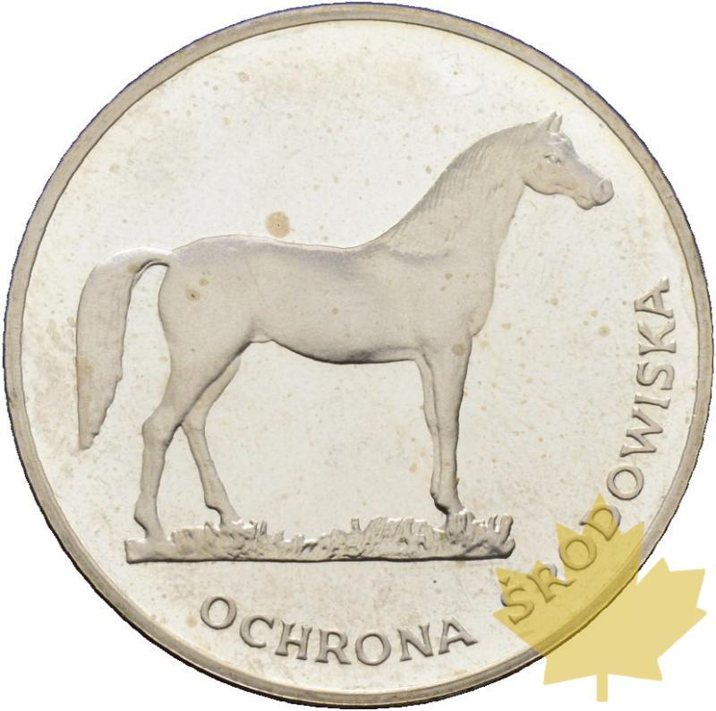 POLOGNE-1981-100 ZLOTYCH-OCHRONA SRODOWISKA-PROOF - 20220407140958_Ochrona-Srodowiska-a.jpg
