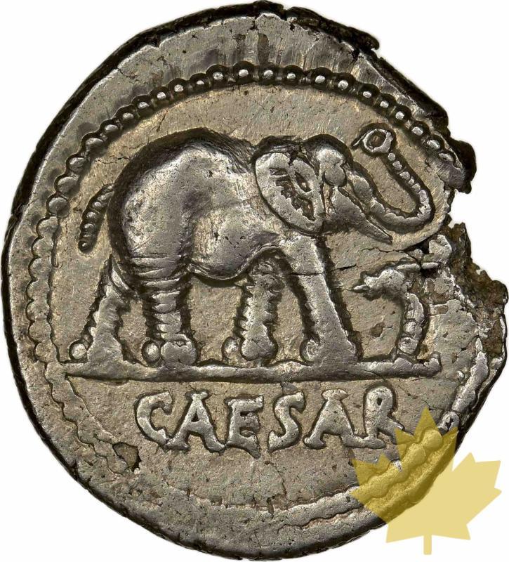 Rome-Julius Caesar-Denarius-NGC XF 4/5 - 4/5 - 20220715103511_juliuscaesardenarius-2.jpg