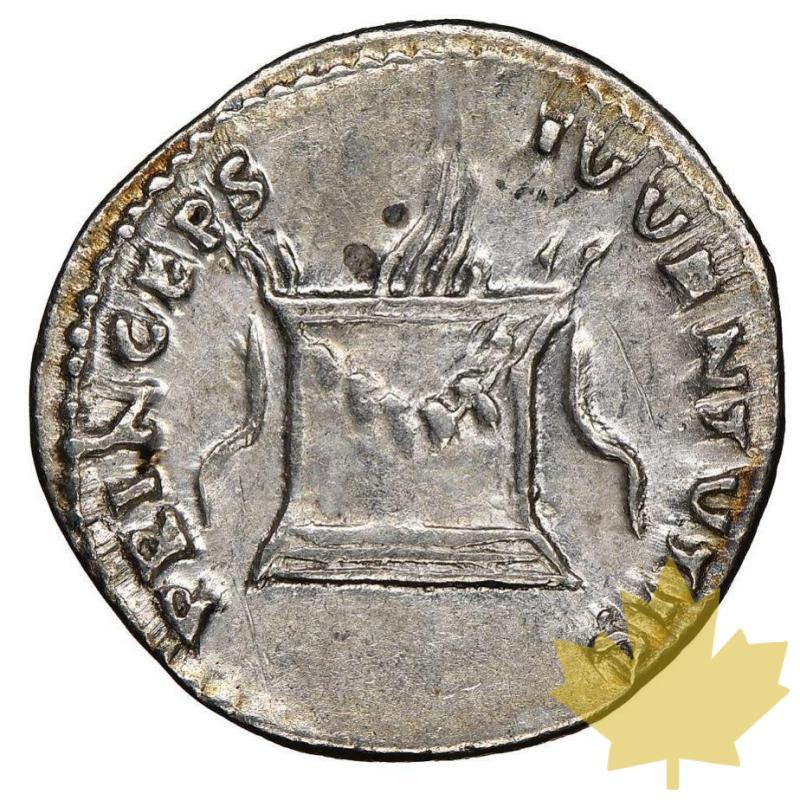 ROME-81-96-DENARIUS-DOMITIAN-NGC Choice VF 5/5, 3/5 - 20220922141313_domitiancaesar.jpg