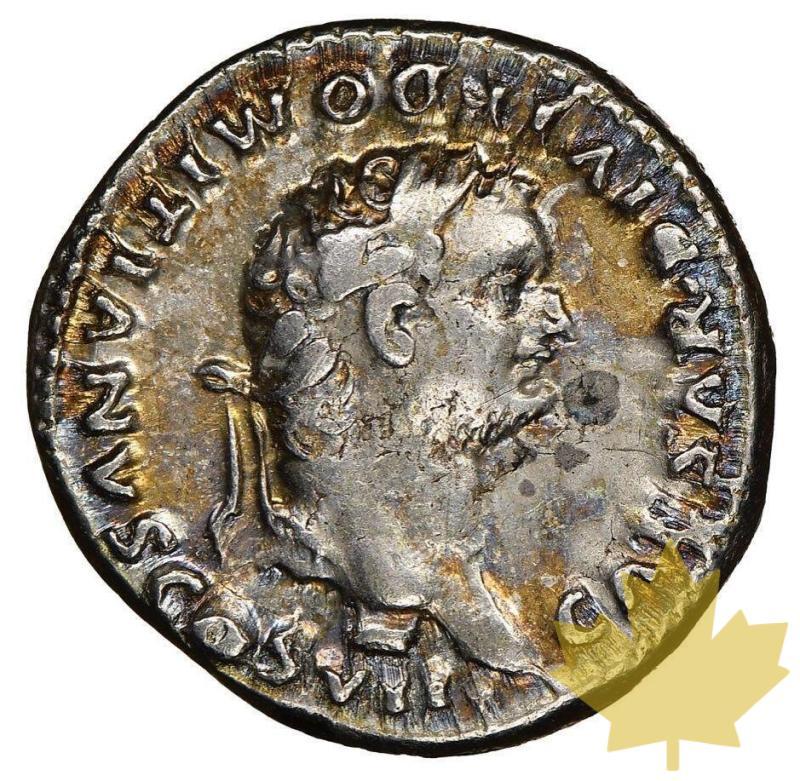 ROME-81-96-DENARIUS-DOMITIAN-NGC Choice VF 5/5, 3/5 - 20220922141313_domitiancaesar1.jpg