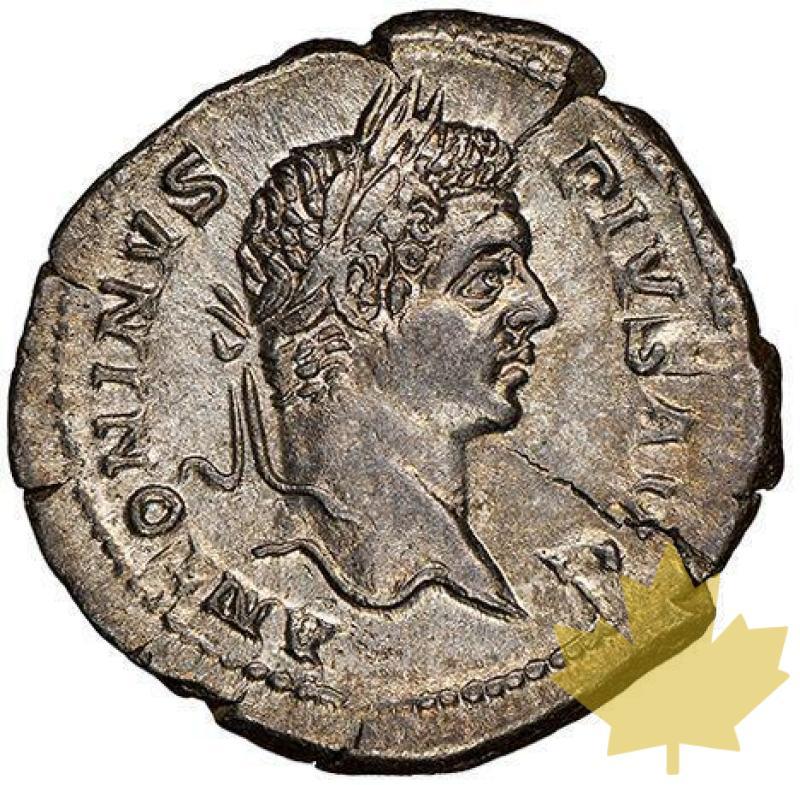 Rome-213-Denarius-Caracalla-NGC AU - 20221125141404_caracalladenarius1.jpg