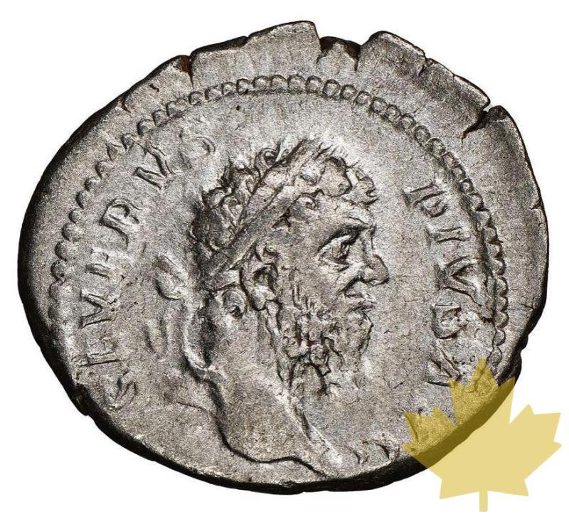 ROMAN EMPIRE-193-211-DENARIUS-SEPT.SEVERUS-NGC Ch VF 4/5; 3/5 - 20221125142029_septimiusdenarius1.jpg