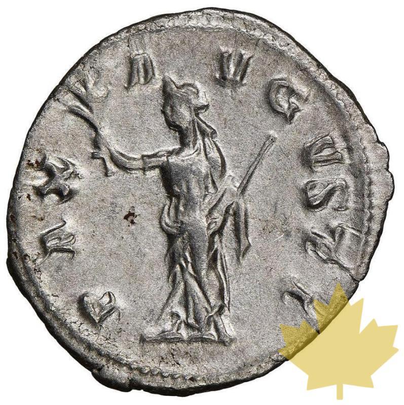Rome-Denarius-Maximinus I 236-238-NGC AU - 20221220135714_maximinusdenarius.jpg