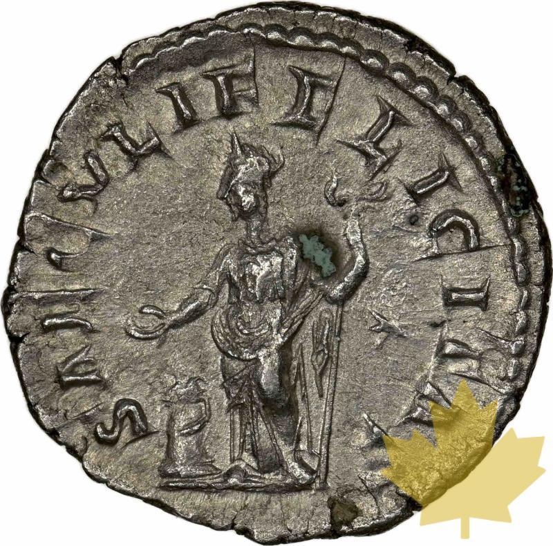 ROMAN EMPIRE-218-224-DENARIUS-JULIA MAESA-NGC MS 5/5; 3/5 - 20230302152435_juliamaesaNGCMS-2.jpg