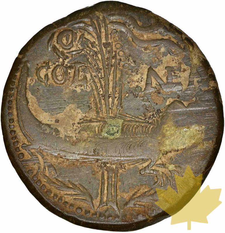 ROME-NEMAUSUS-10-14-DUPONDIUS-AGRIPPA&AUGUSTUS-NGC VF 4/5;3/5 - 20230309174012_nemaususgauldupondius-2.jpg