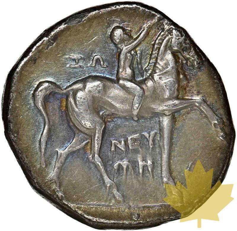 CALABRIA-TARAS-281-240 AC-DIDRACHM-NGC XF 4/5;3/5 - 20230310144340_calabriadidracmataras-1.jpg