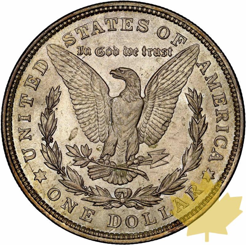 STATI UNITI-1921-MORGAN DOLLAR-NGC MS63 - 20230517103315_MORGANDOLLAR1921-MS63-2.jpg