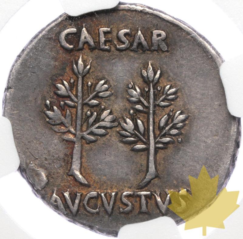 ROMAN EMPIRE-27 AC-DENARIUS-AUGUSTUS-NGC-CH VF 4/5; 4/5 - 20230811163805_Roman-impire-augustus-r.jpeg