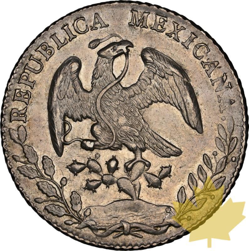 MESSICO-1884MO-8 REALES-NGC AU58 - 20231103140608_Mexique-1884-8reales-r.jpeg