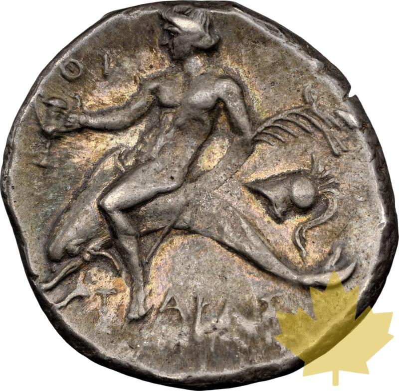 CALABRIA-TARAS-280-240 A.C.-DIDRACHM-NGC XF - 20231117141134_Calabria-taras-didrachm-r.jpeg