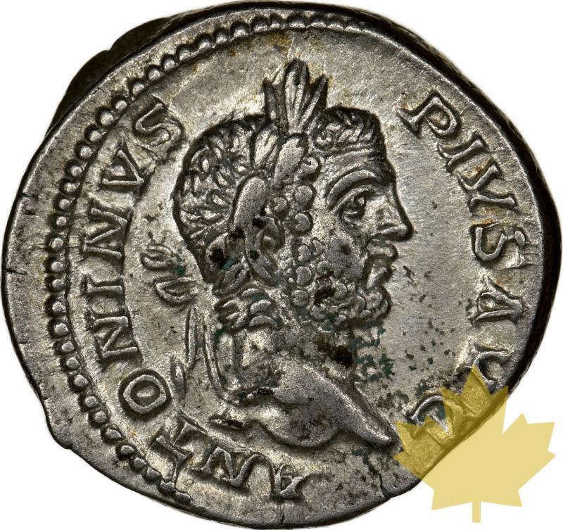 IMPERO ROMANO-198-217-DENARIUS-CARACALLA-NGC CH XF 5/5; 3/5 - 20231117142655_EMPIREROMAIN-DENARIUS-a.jpeg