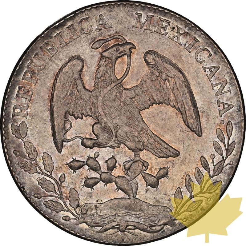 MEXIQUE-1890-MO-8 REALES-NGC AU DETAILS - 20240117110606_MEXIQUE-1890-MO-8REALES-r.jpeg