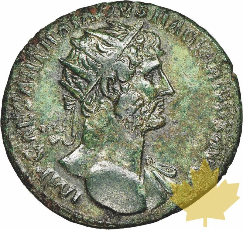 IMPERO ROMANO-117-138-DUPONDIUS-ADRIANO-NGC XF 5/5-2/5 - 20240419115359_EMPIREROMAIN-117-138-DUP-a.jpeg