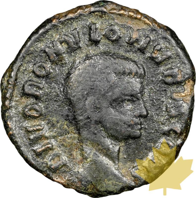 IMPERO ROMANO-309-NUMMUS-ROMULUS-NGC VF 5/5-2/5 - 20240829121154_EMPIREROMAIN-309-NUMMUS-a.jpeg